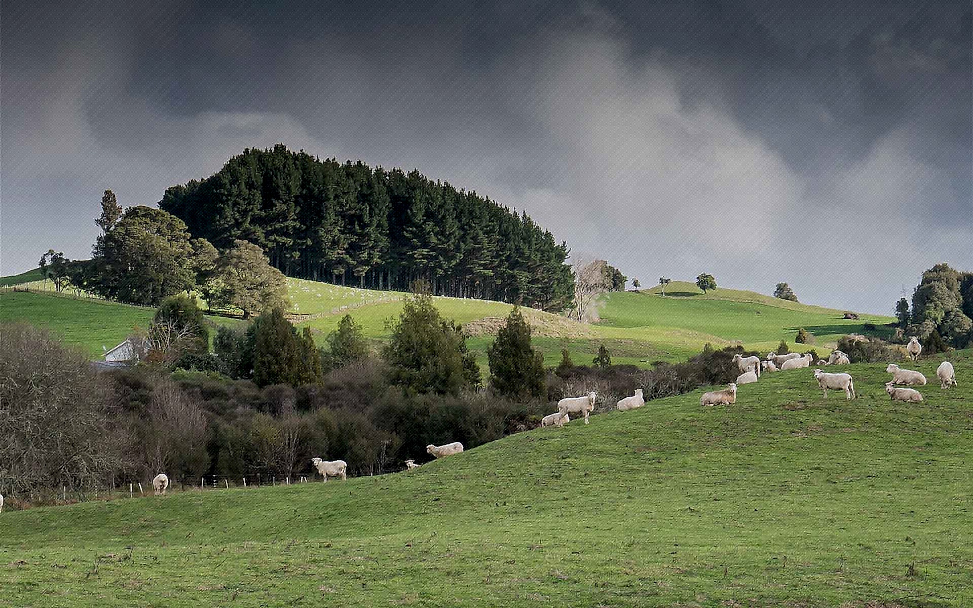 Bakara Farm Besi Çiftliği