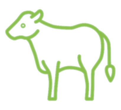 Bakara Farm Besi Çiftliği