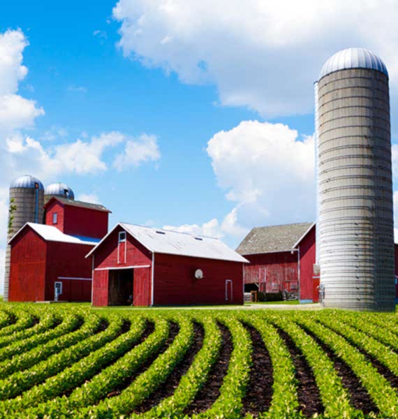Bakara Farm Besi Çiftliği