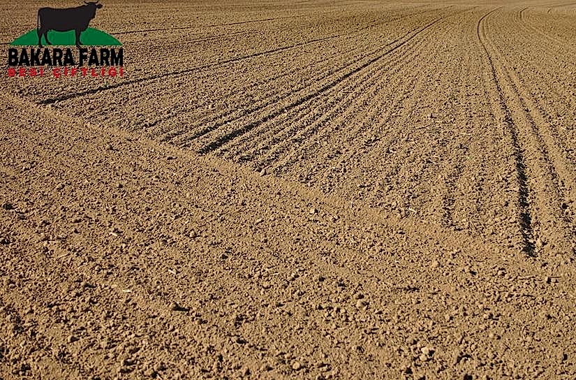 Tarımda Toprağın Önemi