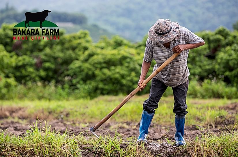 ÇİFTÇİLİK NEDİR? NASIL YAPILIR?