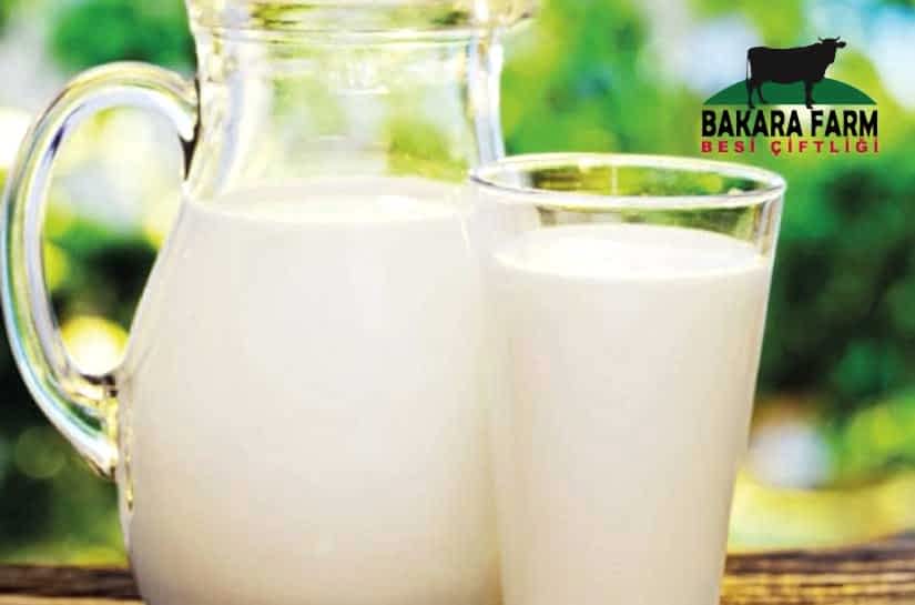 İNEK SÜTÜ İLE KEÇİ SÜTÜ ARASINDAKİ FARKLAR