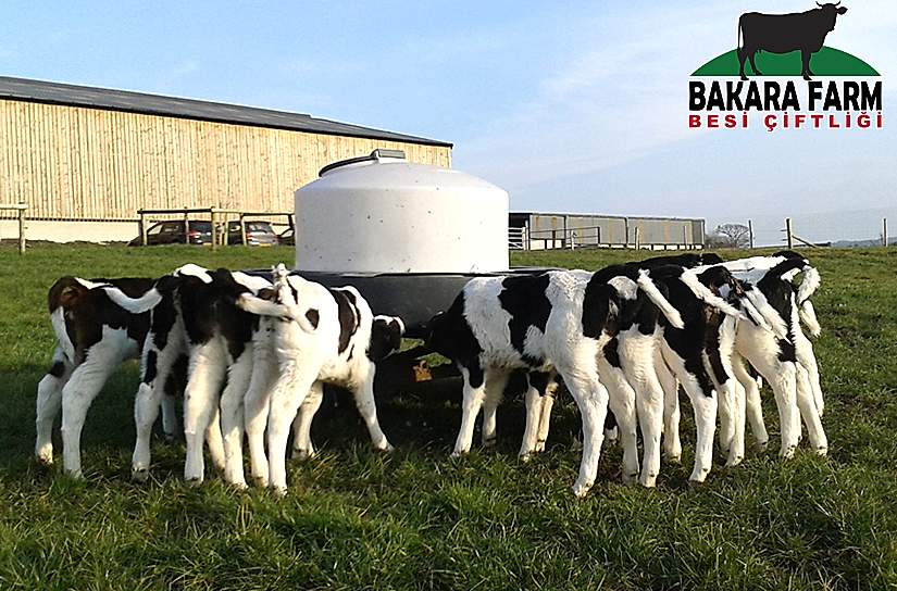 ORGANİK TARIM NEDİR?