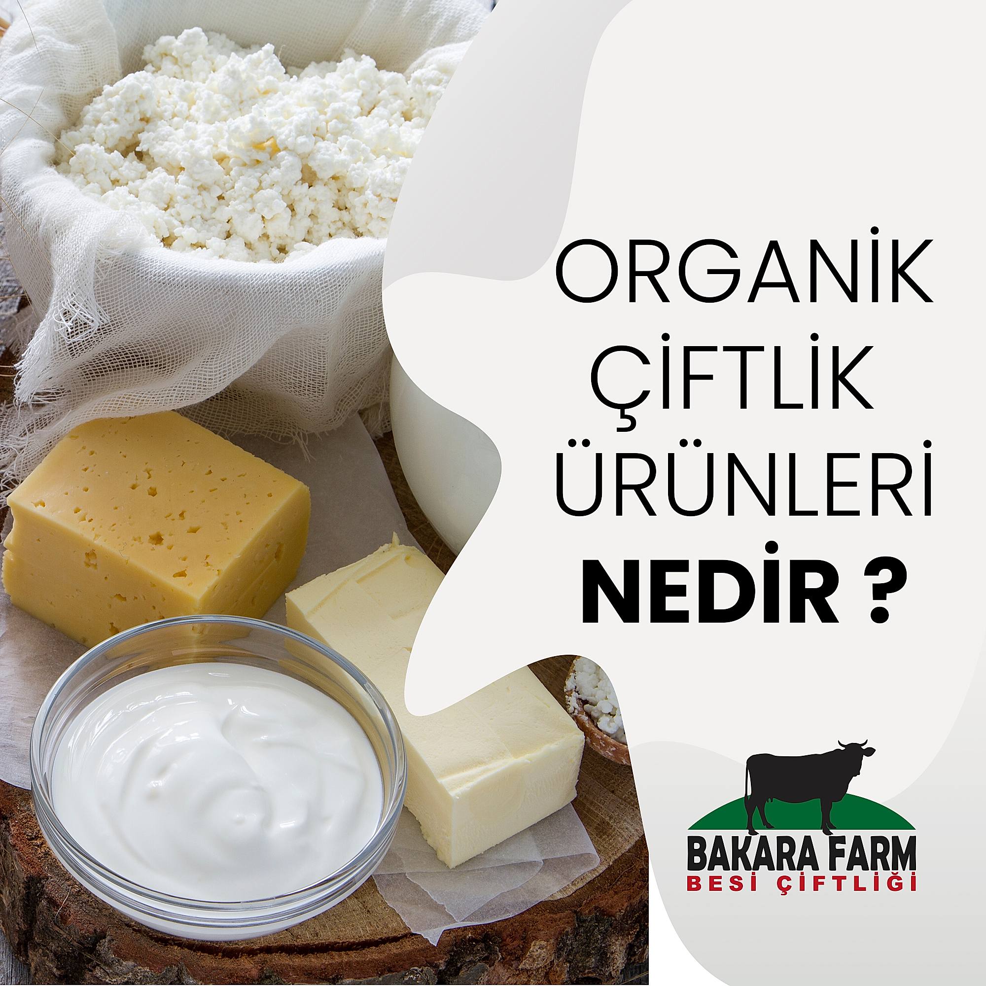 ORGANİK ÇİFTLİK ÜRÜNLERİ NELERDİR?