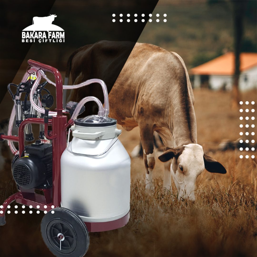 İNEK SAĞIM CİHAZLARI SAĞLIKLI MI?