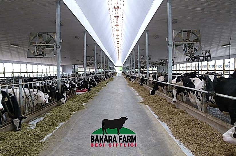 HAYVANLARI SOĞUTMA SİSTEMLERİ