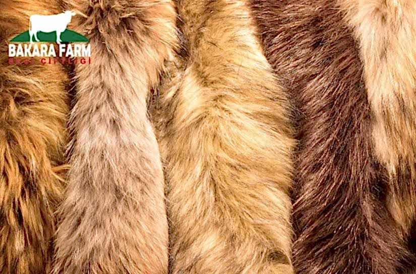 KÜRK HAYVANCILIĞI NEDİR?