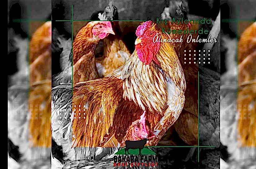 KIŞ AYLARINDA KÜMESLERDE ALINACAK ÖNLEMLER