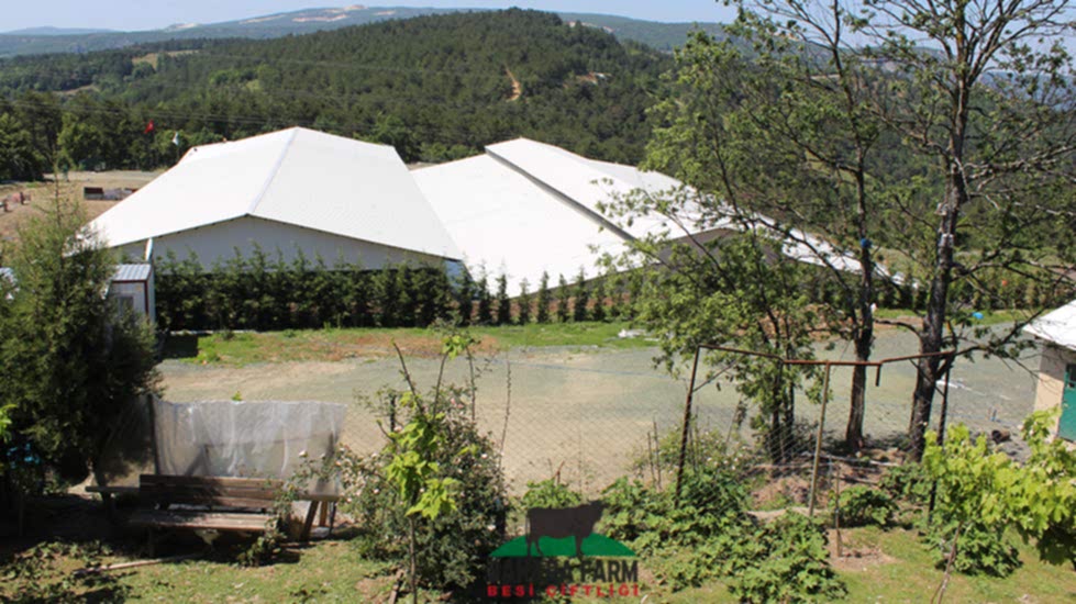Bakara Farm Besi Çiftliği