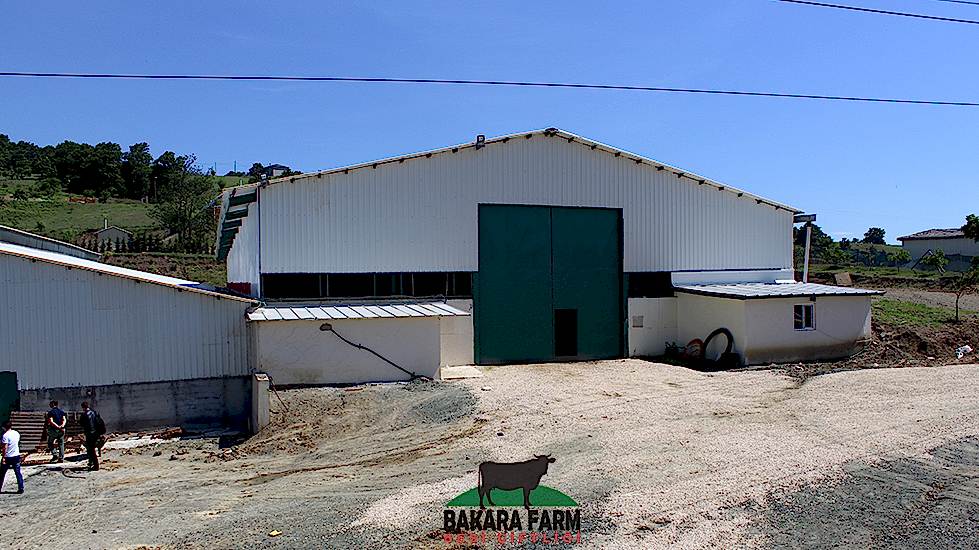 Bakara Farm Besi Çiftliği
