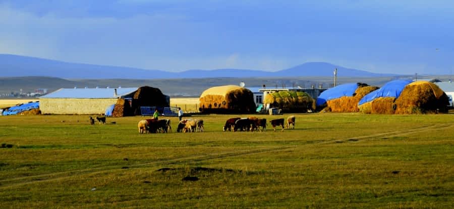 NEDEN BAKARA FARM BESİ ÇİFTLİĞİ TERCİH EDİLMELİDİR?